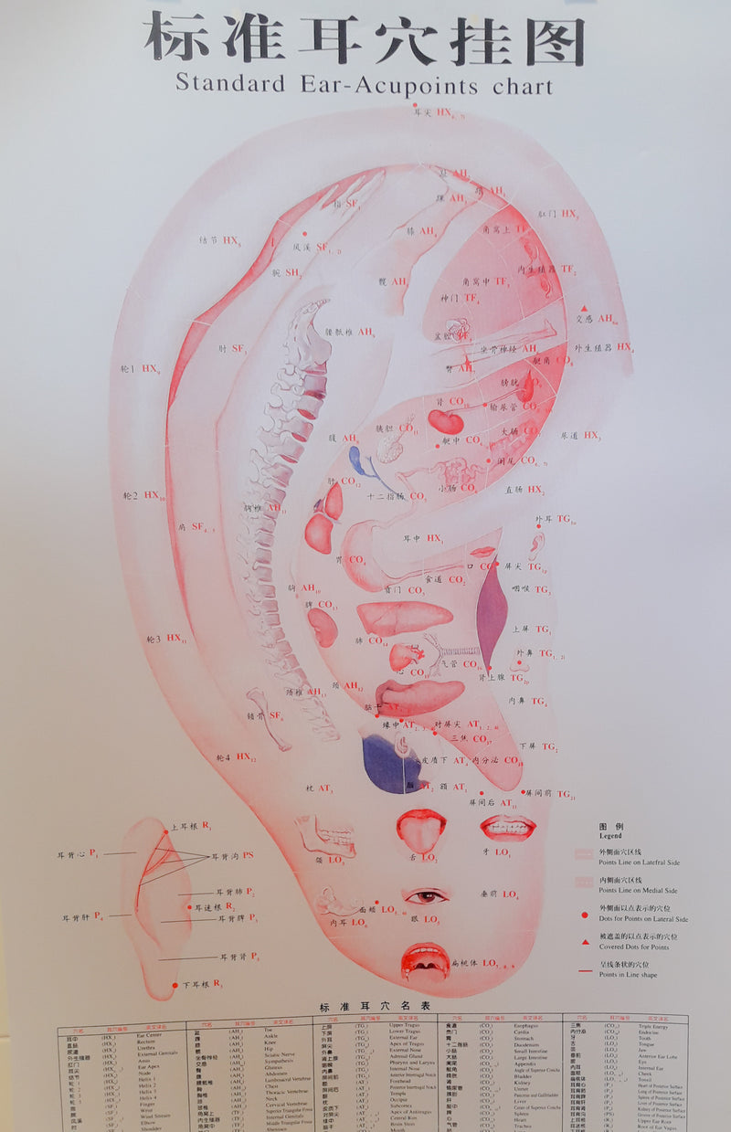 Acupuncture Chart - Auricular Points
