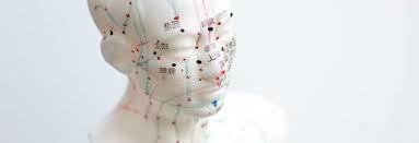 Acupuncture Model Banner - TCM Supplies NZ
