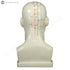 Head Model (20 cm) Back  | TCM Supplies NZ